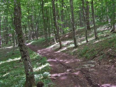 Прикрепленное изображение: DSCF8467.jpg